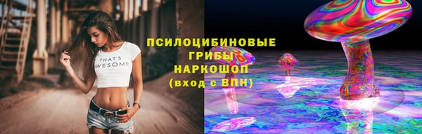гашик Белоозёрский