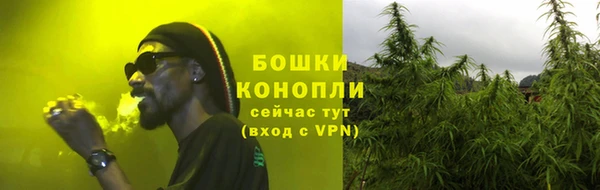 гашик Белоозёрский