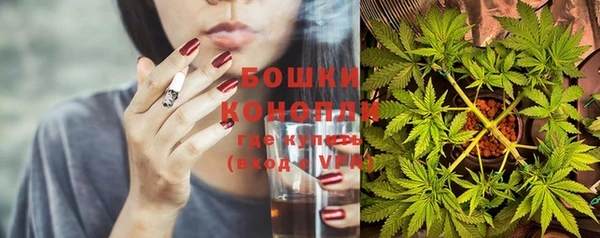 гашик Белоозёрский