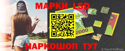 прущие грибы Можайск