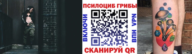 Галлюциногенные грибы мухоморы  Горно-Алтайск 