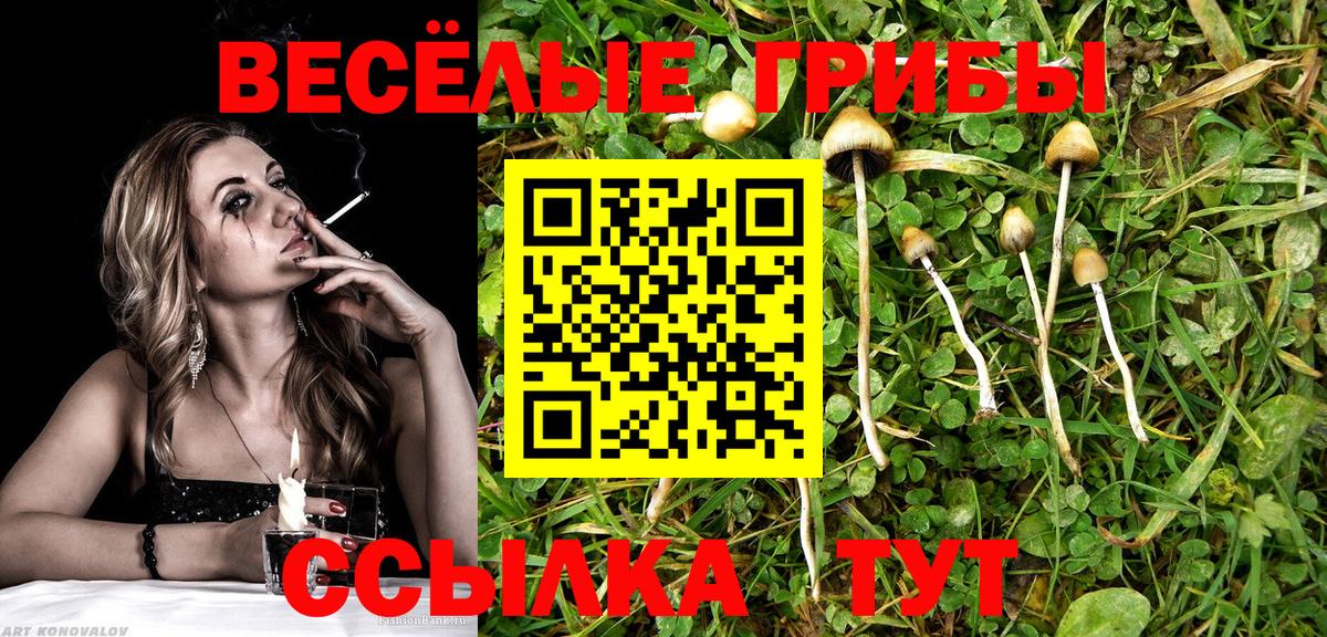 Галлюциногенные грибы мухоморы Горно-Алтайск